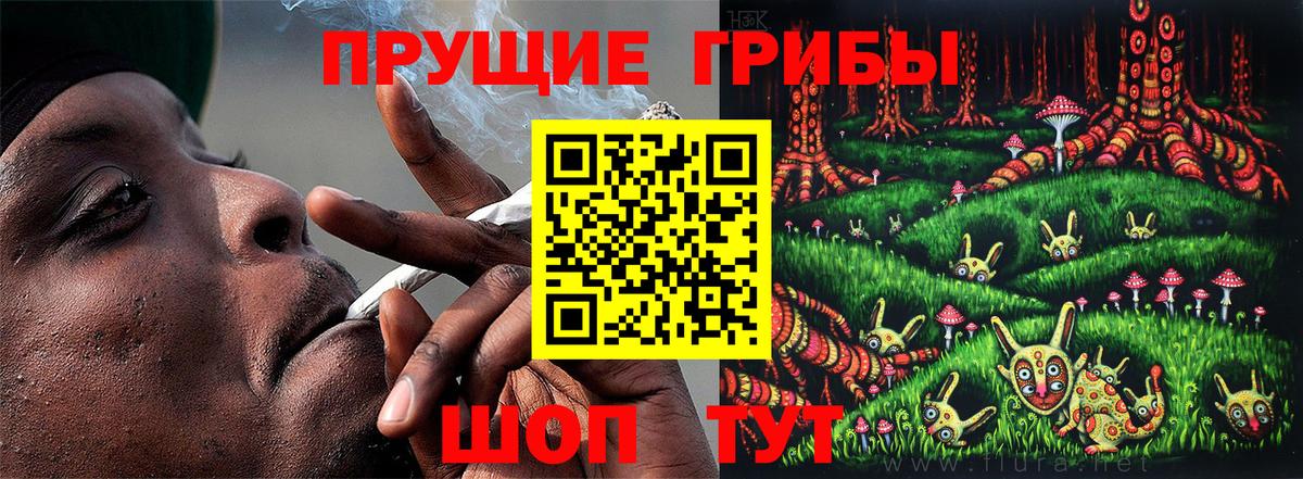 Галлюциногенные грибы Psilocybine cubensis  Галлюциногенные грибы GOLDEN TEACHER  Батайск  Вход с VPN 