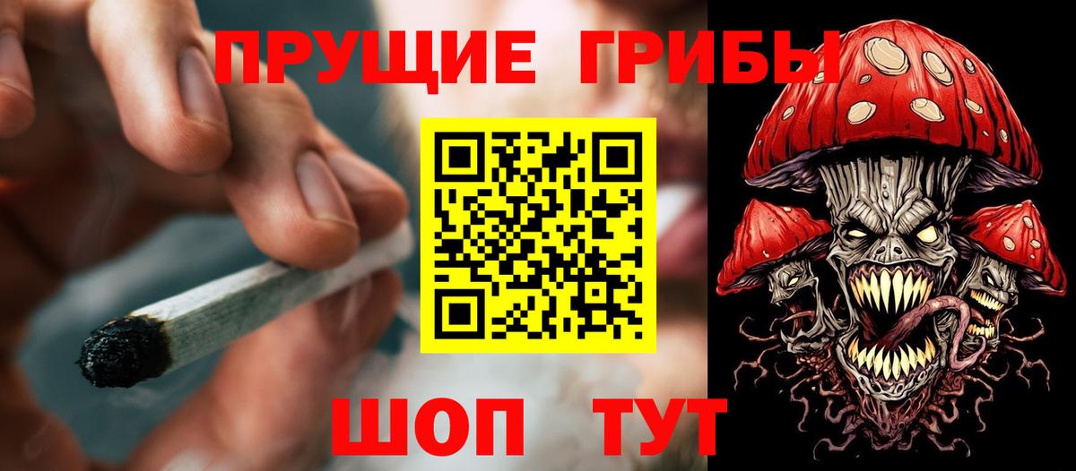 Псилоцибиновые грибы прущие грибы Батайск